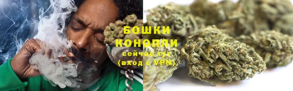 гидропоника Белокуриха