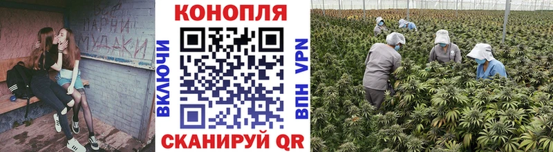 продажа наркотиков  OMG рабочий сайт  Каннабис семена  Кодинск 